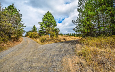 The ‘Jesus’ Who Stood At A Fork In The Road